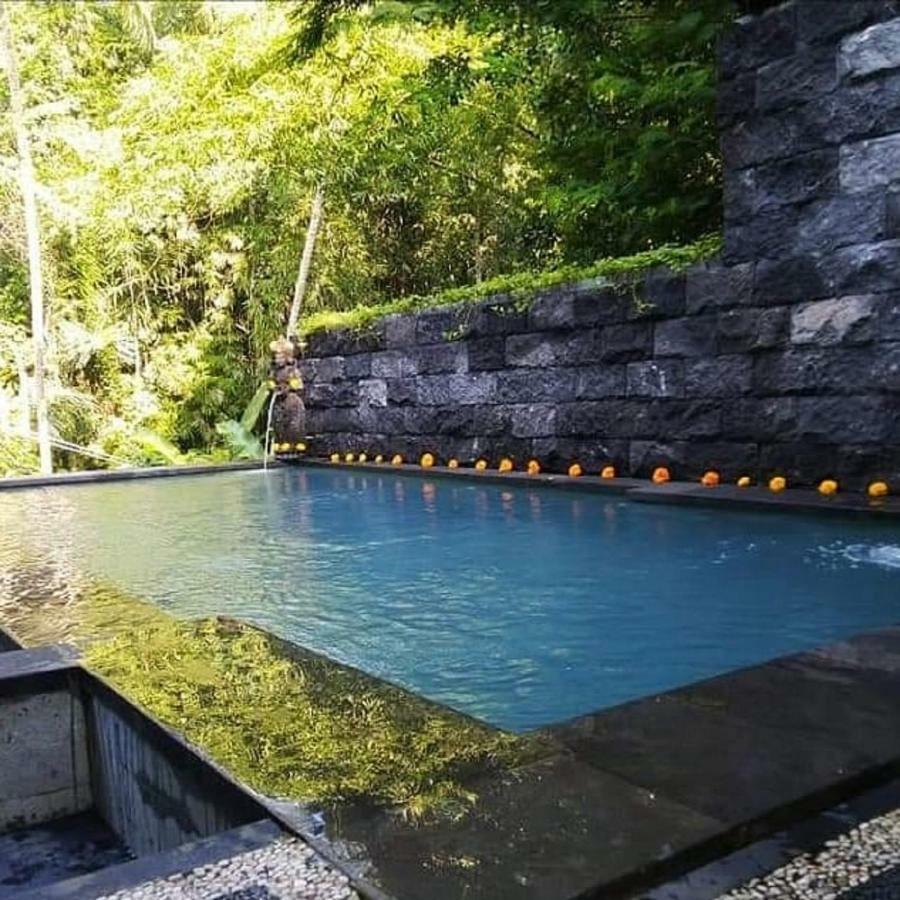 Ubud Harmony Private Villa And Pool Exterior foto